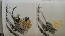 中國畫名家典范課堂：寫意菊 曬單實(shí)拍圖