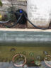 森森（SUNSUN）鱼池过滤器大型鱼缸过滤桶锦鲤池净化器水池循环设备池塘过滤系统 CPF适合4方水单桶（不带其他配件） 实拍图