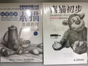 素描初步：靜物繪制基礎(chǔ)教程（繪客出品） 曬單實拍圖
