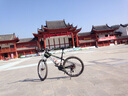 中立（ZOLI） 自行車燈警示燈單車尾燈山地車燈激光尾燈USB充電牛頭燈騎行裝備單車配件 牛頭燈綠色可充電 曬單實(shí)拍圖