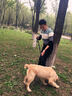 哈特麗派可為 加長(cháng)大號寵物狗狗拾便夾便撿便撿屎鏟屎神器狗屎夾子清潔 小號拾便器(小型犬/貓咪專(zhuān)用) 曬單實(shí)拍圖