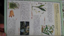 圖解千金方：中國醫學(xué)養生方劑大全（2012白話(huà)圖解） 曬單實(shí)拍圖