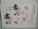 中國畫(huà)技法入門(mén)300例:寫(xiě)意花卉綜合卷（繪客出品） 曬單實(shí)拍圖