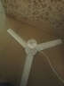 中聯(lián)（ZOLEE） 電風(fēng)扇FD10-70 家用迷你 電扇 小風(fēng)扇 學(xué)生兒童 蚊帳吊扇 風(fēng)扇+4M國標延長(cháng)線(xiàn) 曬單實(shí)拍圖