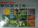 景觀植物大圖鑒2：觀賞樹木680種（珍藏版） 曬單實拍圖