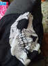BaseCamp運動(dòng)騎行無(wú)縫魔術(shù)頭巾透氣圍脖自行車(chē)摩托車(chē)騎行面巾防塵防曬面罩 幽靈骷髏 曬單實(shí)拍圖