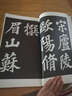 中國碑帖精華：蘇軾豐樂(lè )亭記 曬單實(shí)拍圖
