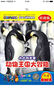 雙語幼兒園系列·寶寶的動物世界·小小科學(xué)家動物王國大冒險（4DVD）（雙語版） 曬單實拍圖