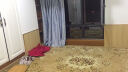 东升（DONG SHENG） 欧式地毯客厅沙发茶几毯卧室满铺房间婚庆办公室家用地毯 美茜06IV 200*280cm 实拍图