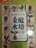 最容易養(yǎng)活的家庭水培植物/園藝家 曬單實(shí)拍圖
