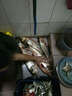 德島黃色魚(yú)護納米速干黑坑魚(yú)護網(wǎng)兜鋁合金萬(wàn)向定位競技裝魚(yú)袋 納米刺繡40cm*250cm{擋針} 曬單實(shí)拍圖