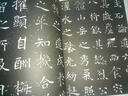 大唐墓志書法精選：尉遲敬德、賀蘭淹墓志 曬單實拍圖