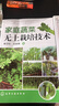 家庭蔬菜無土栽培技術 曬單實拍圖