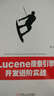 Lucene搜索引擎開(kāi)發(fā)進(jìn)階實(shí)戰 曬單實(shí)拍圖