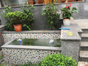 森森水泵大型魚(yú)缸水族箱假山瀑布水池噴泉抽換水過(guò)濾循環(huán)泵 HQB-3500【3000L/H高揚(yáng)程85W】 曬單實(shí)拍圖