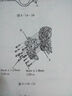 新款汽車正時(shí)校對(duì)手冊(cè) 曬單實(shí)拍圖