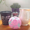 LUSH英國進口 LUSH 嵐舒 草本洗面膏 控油清爽潔面手工 保濕滋潤肌膚 250克 曬單實拍圖