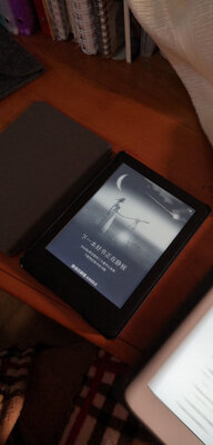 kindle oasis 3 梵高套装怎么样口碑差不差?一个月彻底后悔吗!!!