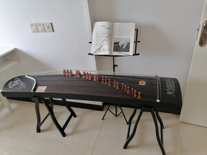 仙声 古筝怎么样?千万不要被忽悠了!真的假的？