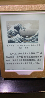 掌阅iReader C6怎么样??一个月使用彻底后悔吗!!!【真相大揭...