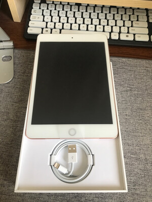 分析iPad mini 5售后保障?