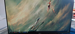 吐槽戴尔S2421HSX质量好吗？全方位深度解析,真的极度后悔?