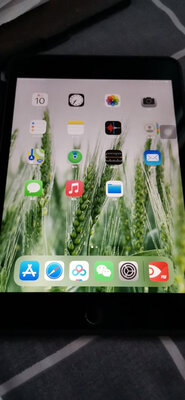 使用对比感受iPad mini 5怎么样?质量坑不坑是真是假?