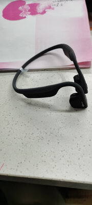 韶音 AS600 Titanium怎么样质量太差？千万要注意？分享感受