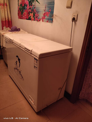 图文解说有人知道澳柯玛BCD-302CNE怎么样，真的有人被骗了吗！