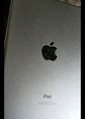 分析iPad mini 5售后保障?