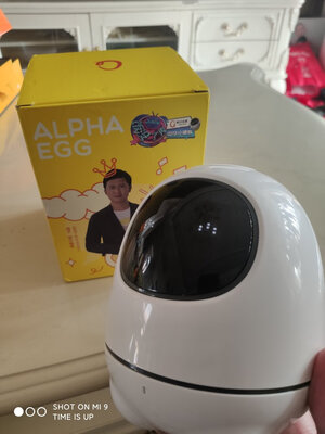 阿尔法蛋A10怎么样反馈好不好？三个月不到彻底后悔了？