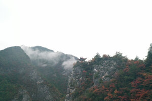 DJI 大疆 如影 Ronin-S 标准版怎么样,真实内幕测频!!!【质量大评测