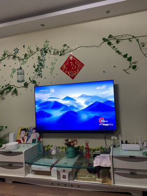 很想知道TCL 65Q10怎么样?听说质量很烂是真的吗?