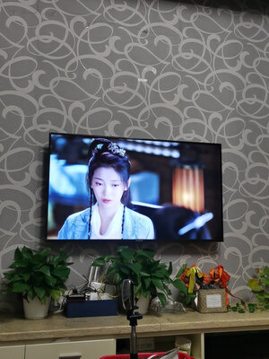 TCL雷鸟 55S535C和松下TH-55GX580C对比哪个好?TCL雷鸟 55S535C好吗?大家聊聊