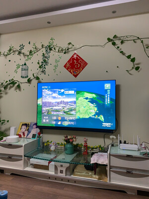 很想知道TCL 65Q10怎么样?听说质量很烂是真的吗?