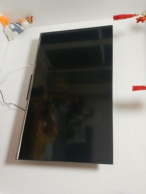 TCL雷鸟 55S535C和松下TH-55GX580C对比哪个好?TCL雷鸟 55S535C好吗?大家聊聊