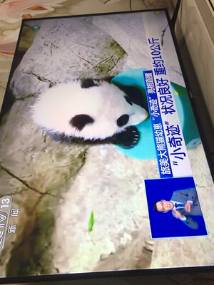 真实测评康佳65D3和长虹 65D4PS哪个好什么区别?质量如何对比下?