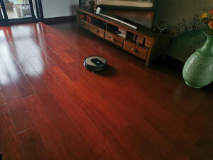 揭秘iRobotRoomba i7和iRobot Roomba i4哪个好?缺点分析