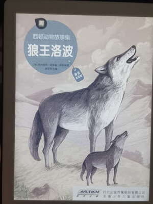 【质量爆料】科大讯飞电纸书怎么样?质量真的好?