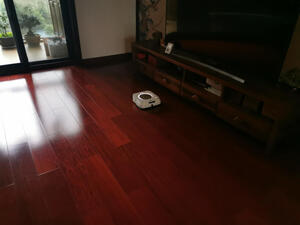 吐槽iRobot Roomba i4怎么样内幕缺点