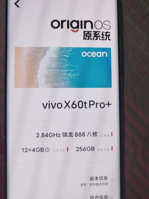 vivo X60t Pro+怎么样