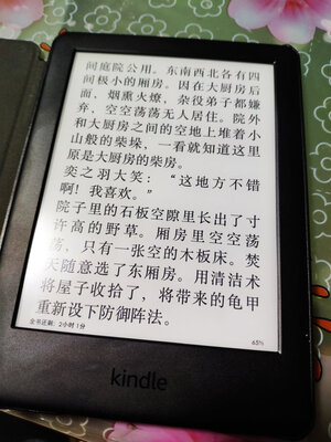 Kindle青春版梵高套装怎么样??真实口碑吐槽！爆料解密
