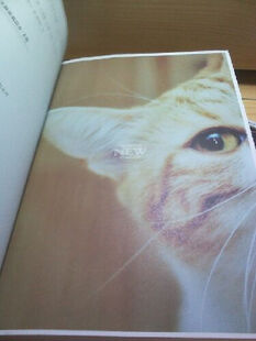 事物,让你更加享受生活。读书是一种最美丽的