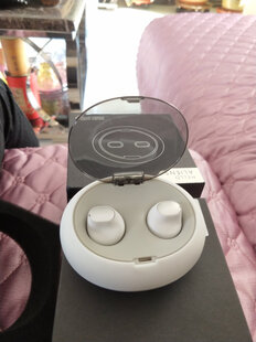 纽曼 (Newmine) E10 外星人真无线迷你隐形入