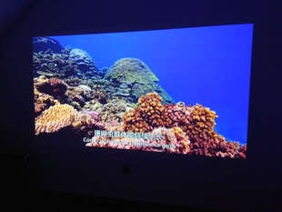 坚果(JmGO)绅视 J6 家用全高清 投影仪 投影机