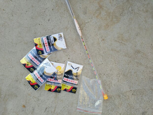 君东 君王鲤 鲤鱼竿超轻超硬台钓竿高碳素28调