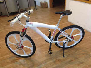 体轮 极光 白红色 26寸 - 这是我第一次在京东购