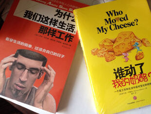 为什么我们这样生活,那样工作 - 为什么我们追