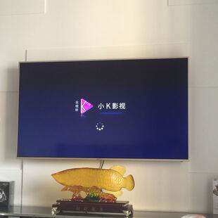 V U55MAX 55英寸4K HDR MEMC 人工智能语