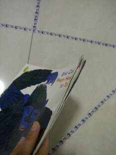 From Head to Toe从头动到脚 英文原版 - 宝宝会